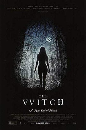 The Witch (2015) poster