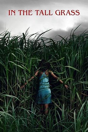 In the Tall Grass (2019) poster