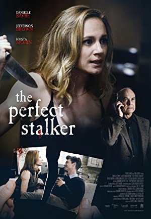 The Perfect Stalker (2016) poster
