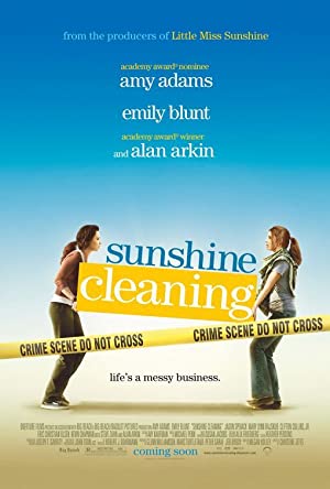 Sunshine Cleaning (2008) poster