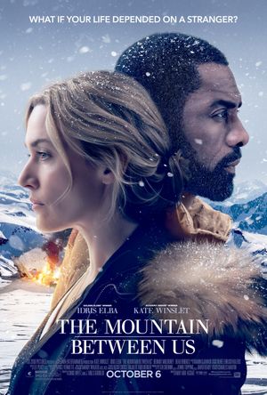 The Mountain Between Us (2017) poster