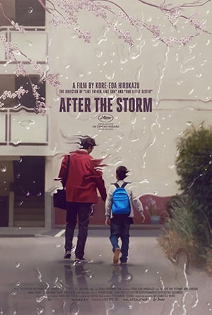 After the Storm (2016) poster