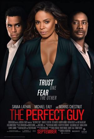 The Perfect Guy (2015) poster