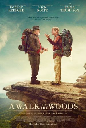 A Walk in the Woods (2015) poster