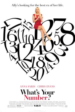 What's Your Number? (2011) poster