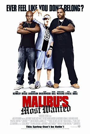 Malibu's Most Wanted (2003) poster
