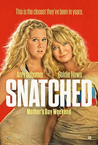 Snatched (2017) poster