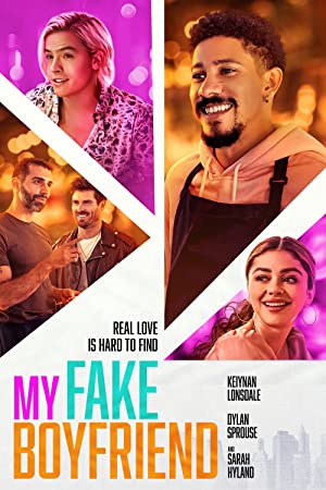 My Fake Boyfriend (2022) poster