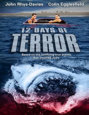 12 Days of Terror (2004) poster