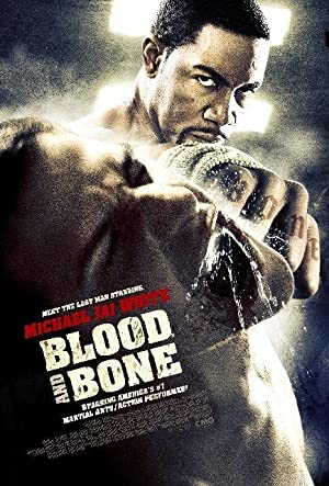Blood and Bone (2009) poster
