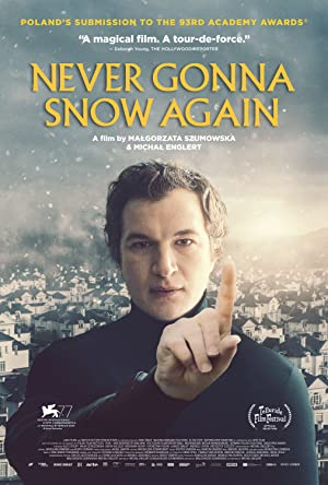 Never Gonna Snow Again (2020) poster